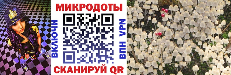 Псилоцибиновые грибы мицелий  Купить закладки  Лесосибирск 